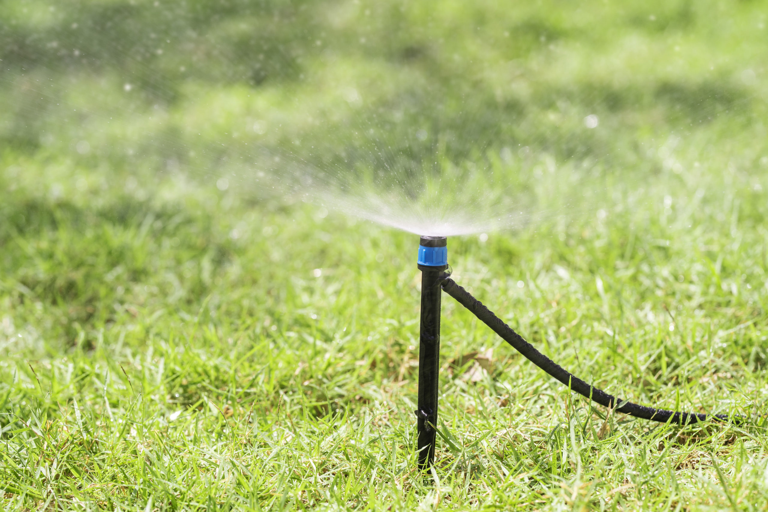close-up-automatic-sprinklers-system-watering-lawn-scaled