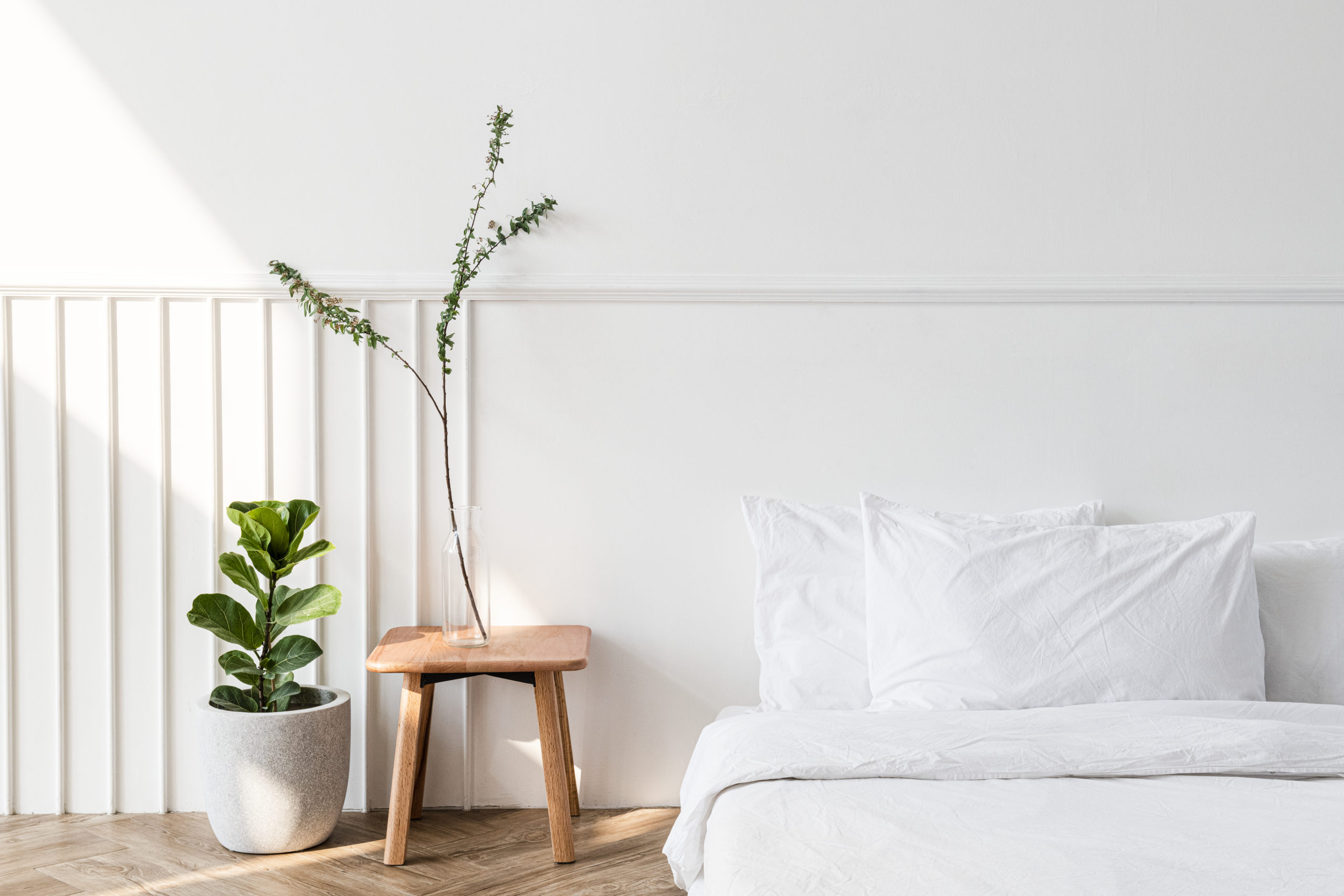 house-plants-by-mattress-floor-scaled